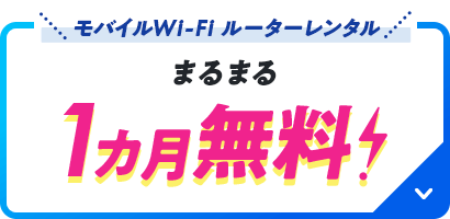 モバイルWi-Fiルーターレンタル まるまる1カ月無料