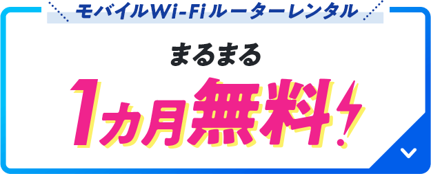 モバイルWi-Fiルーターレンタル まるまる1カ月無料