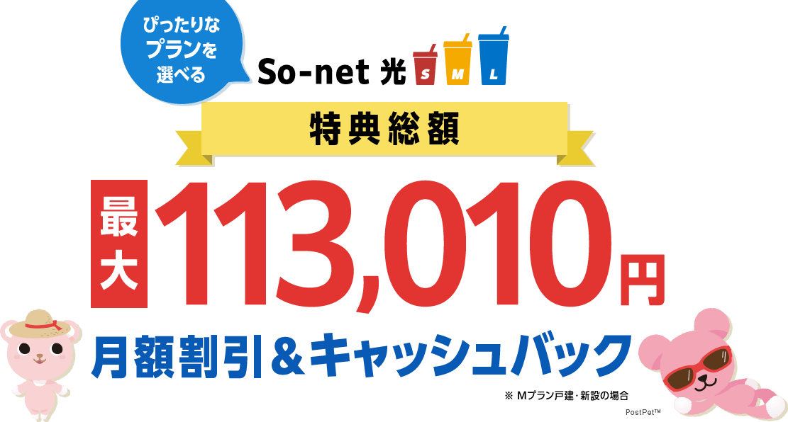 ぴったりなプランを選べる so-net 光 s m l 特典総額 最大113,010円 月額割引&キャッシュバック ※mプラン戸建・新設の場合