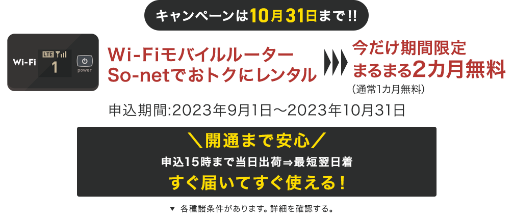 価格もスペックも、あなたにちょうどいいインターネット So-net 光