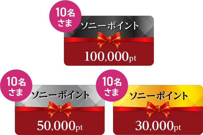 ソニーポイント100,000pt 10名さま ソニーポイント50,000pt 10名さま ソニーポイント30,000pt 10名さま