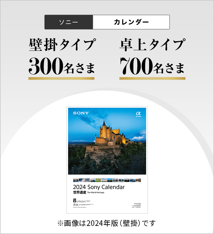 ソニーカレンダー 壁掛タイプ300名さま 卓上タイプ700名さま ※画像は2024年版（壁掛）です